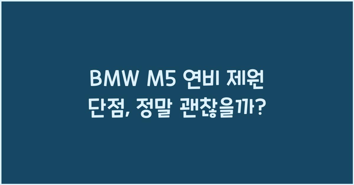 BMW M5 연비 제원 단점