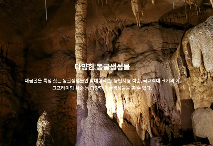 삼척-대금굴-입장료-운영시간-이용-안내