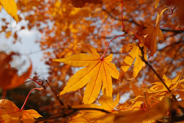 사랑온난방비 지원금 신청방법, 최대 100만원