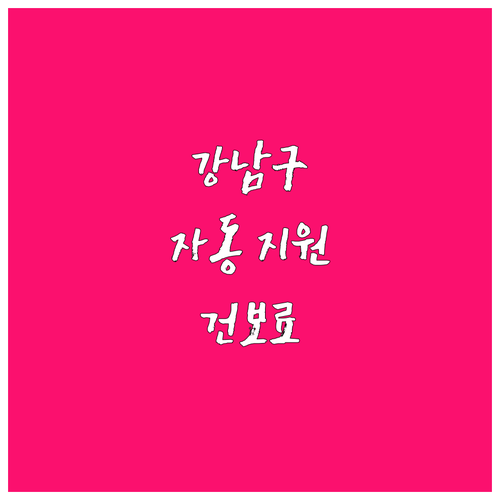 강남구 2025 저소득 노인 건강보험..