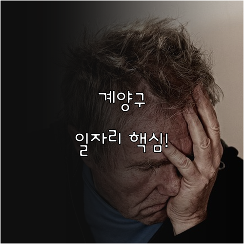 계양구 시니어클럽 공익활동 사회서비스..