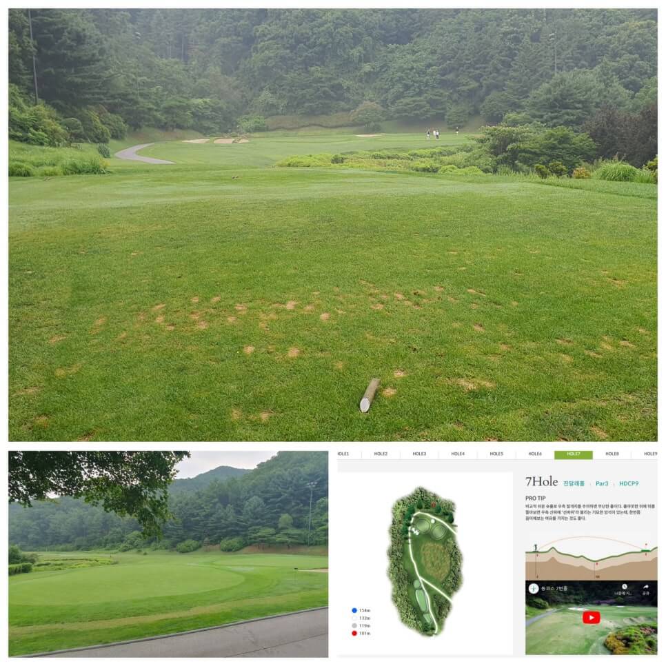 골프장 경험담 광주 더시에나서울cc 오랜 시간 수준 높은 명문의 자리를 지켜온 프레스티지 골프장