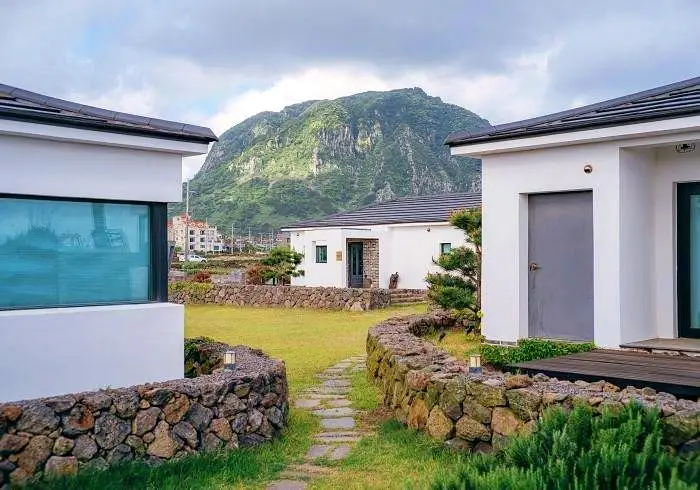 1박2일 제주하루살기 담쟁이 넝굴이 둘러싼 산방산 뷰 스파 펜션 가볼만한 곳 제주 서귀포 숙박 추천 소개