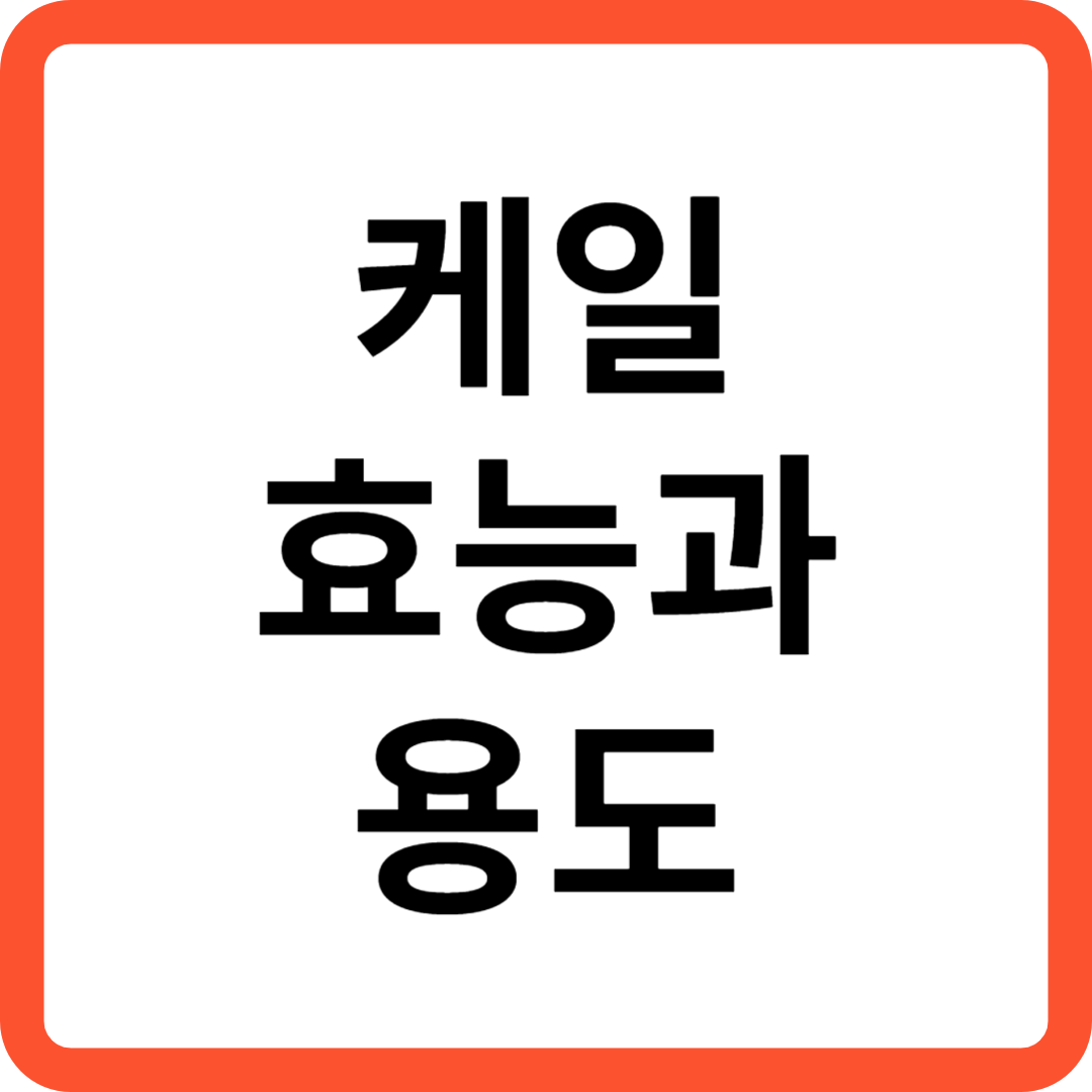 케일 효능과 용도