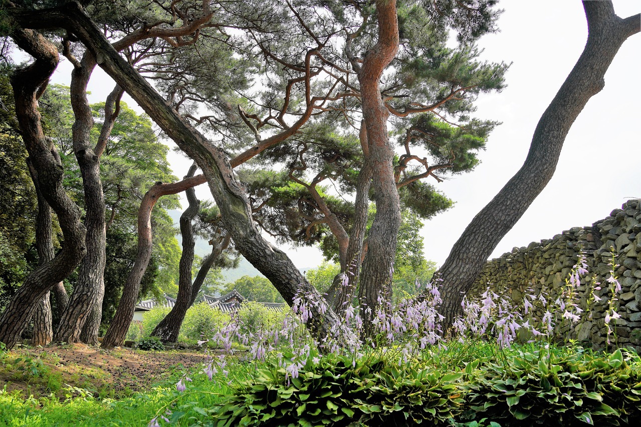 담양 죽녹원 한옥 펜션 예약