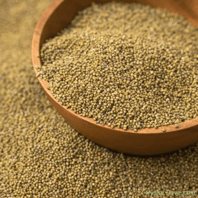 장 건강에 좋은 잡곡 조