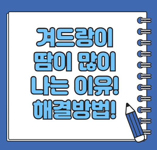겨드랑이 땀이 많이 나는 이유, 겨드랑이 땀 해결 방법!