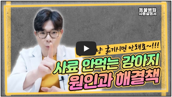 수의사 유튜버 추천 순위 TOP 10 3