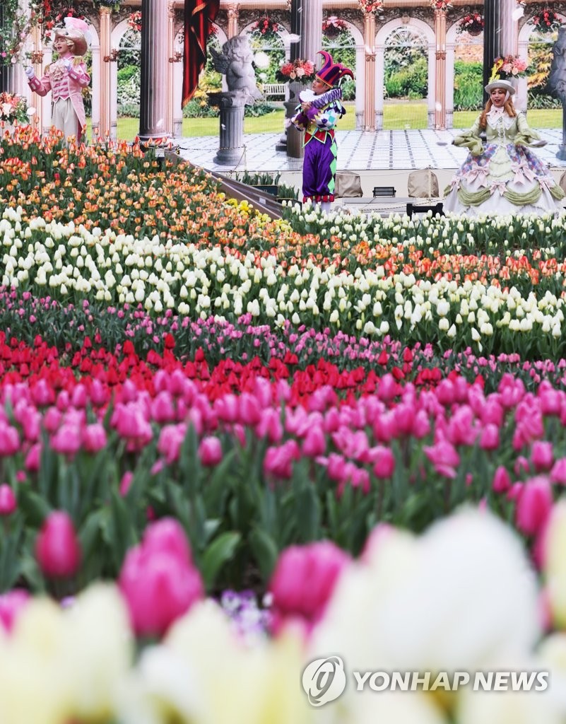 에버랜드 튤립축제