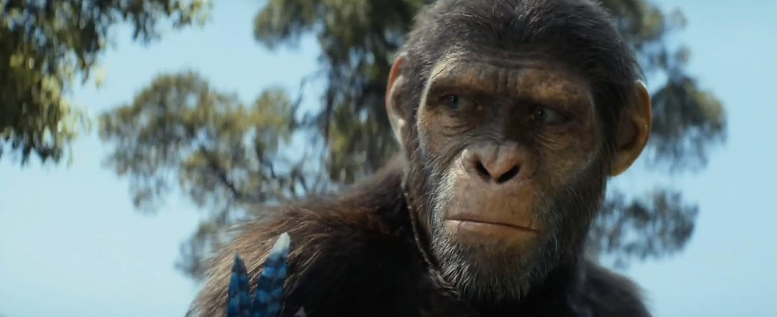 2024년 혹성탈출 새로운 시대 장면1 