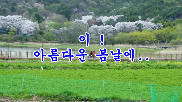 이 아름다운 봄날에..