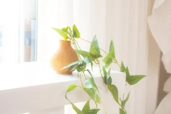 오브제 뜻 감정과 의미화된 사물 활용 방법_21