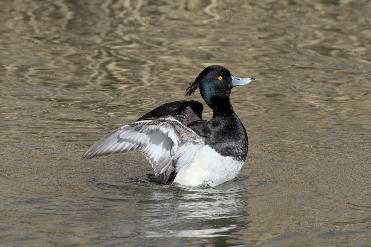 은퇴 후 연금만으로 귀촌 생활 가능할까&amp;#44; 귀촌 생활비 바로 확인하기