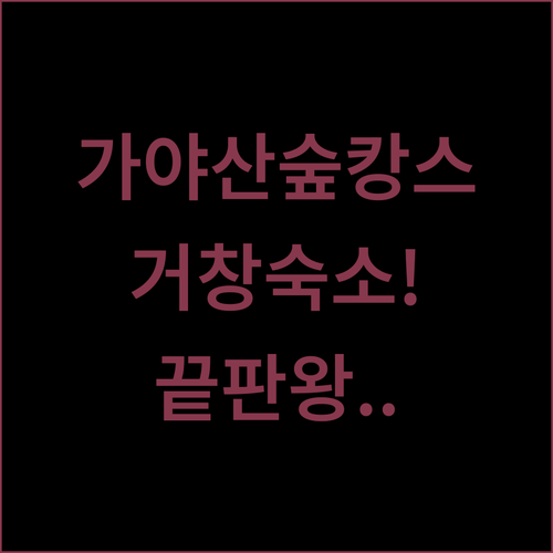 가야산 숲캉스부터 거창 비즈니스 호텔..