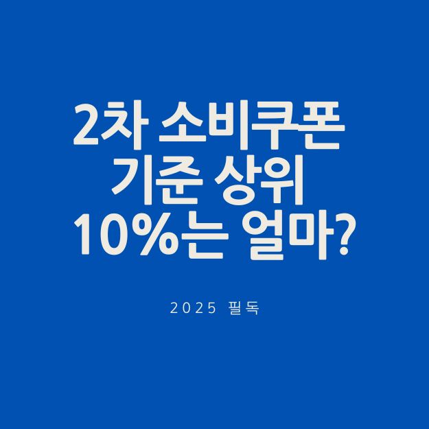 2차 소비쿠폰 기준