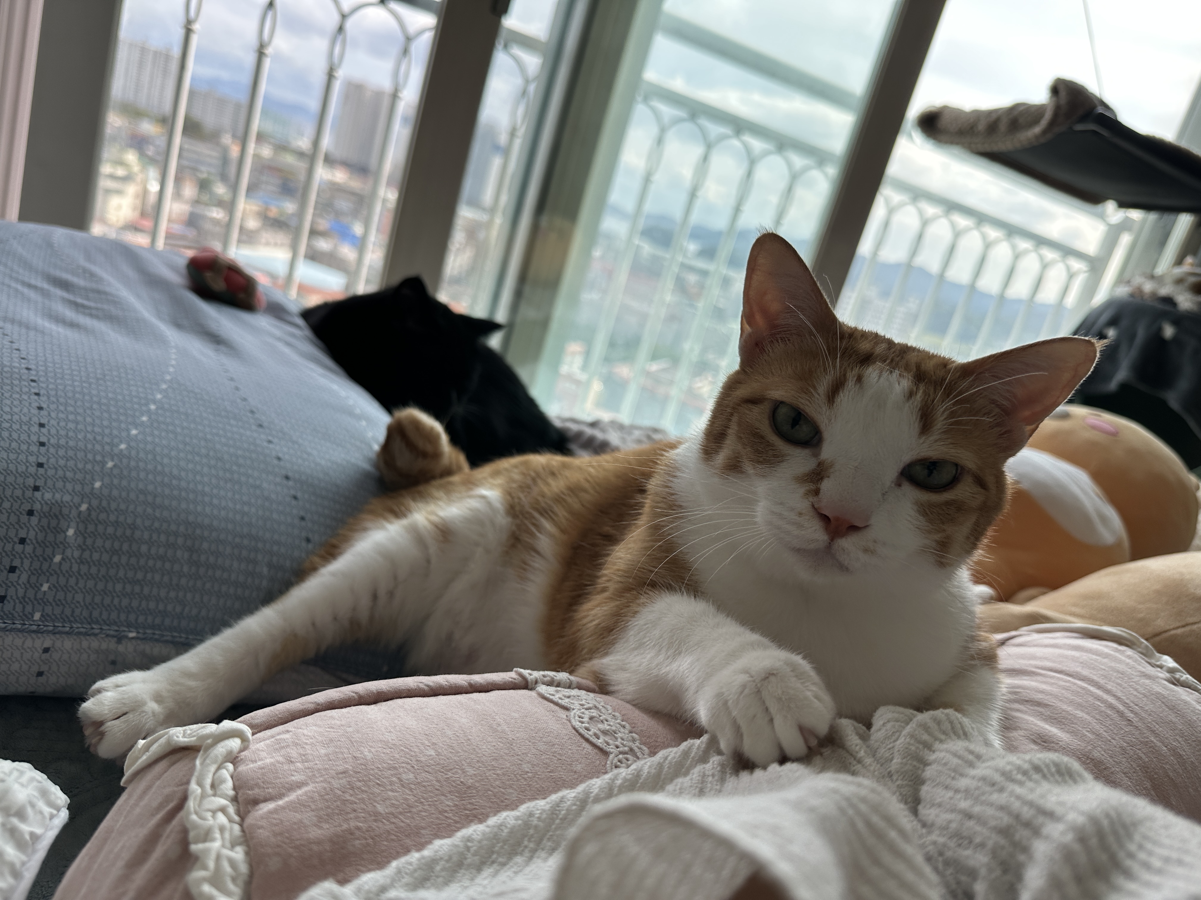 베개에_기대서_엄마랑_아이컨택중_1