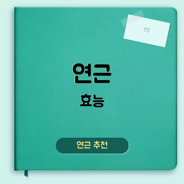 연근 효능에 대하여