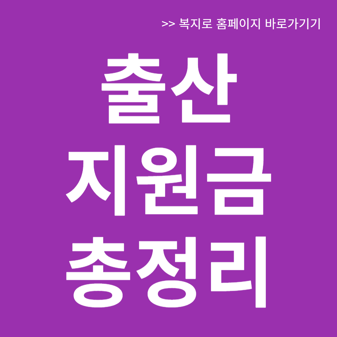 출산 지원금