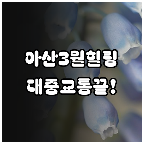 대중교통으로 떠나는 아산 3월 당일치..