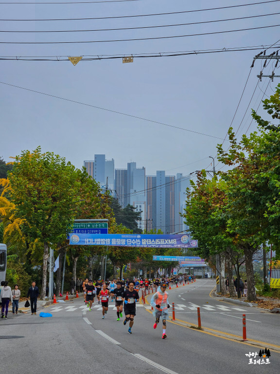 춘천 마라톤