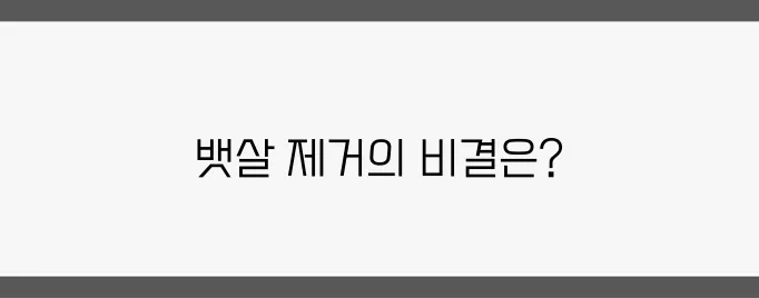 식단과 운동의 조화, 뱃살 제거의 비법을 찾다!