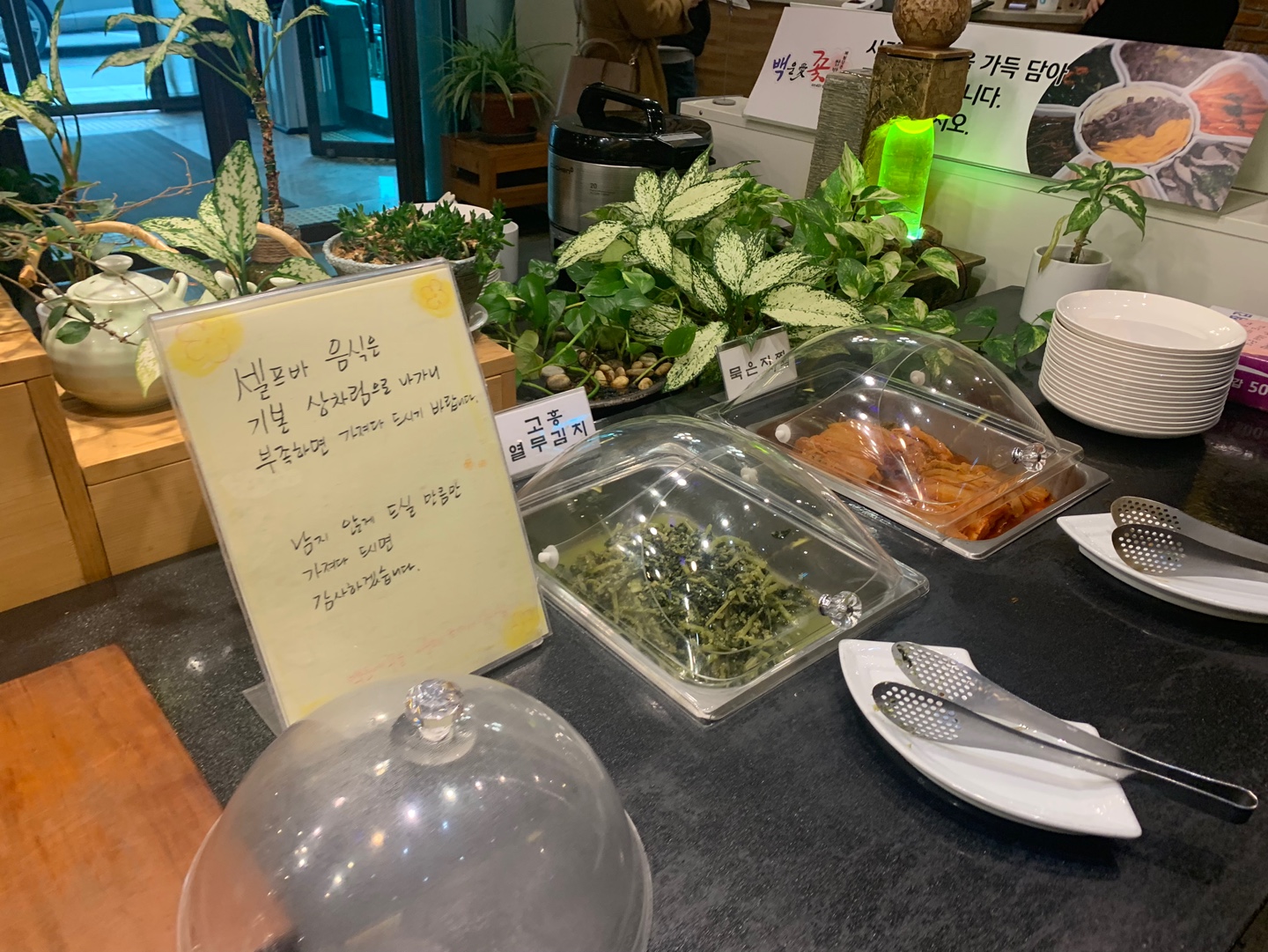 백운애꽃 셀프바