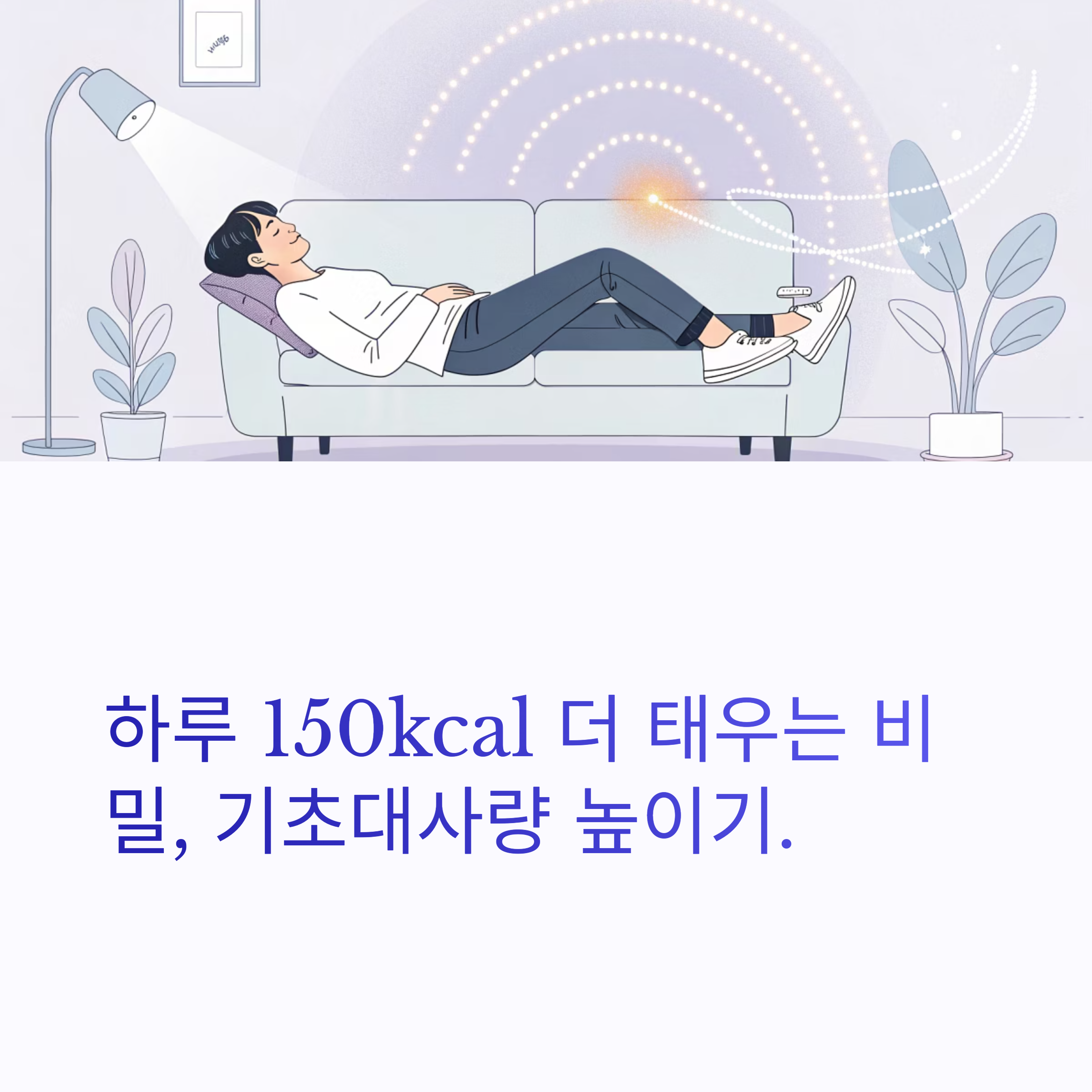 기초대사량 높이기