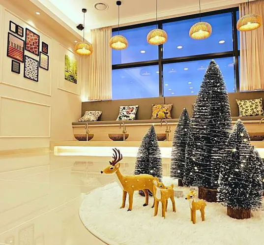 더하노이풋앤바디 춘천온의점