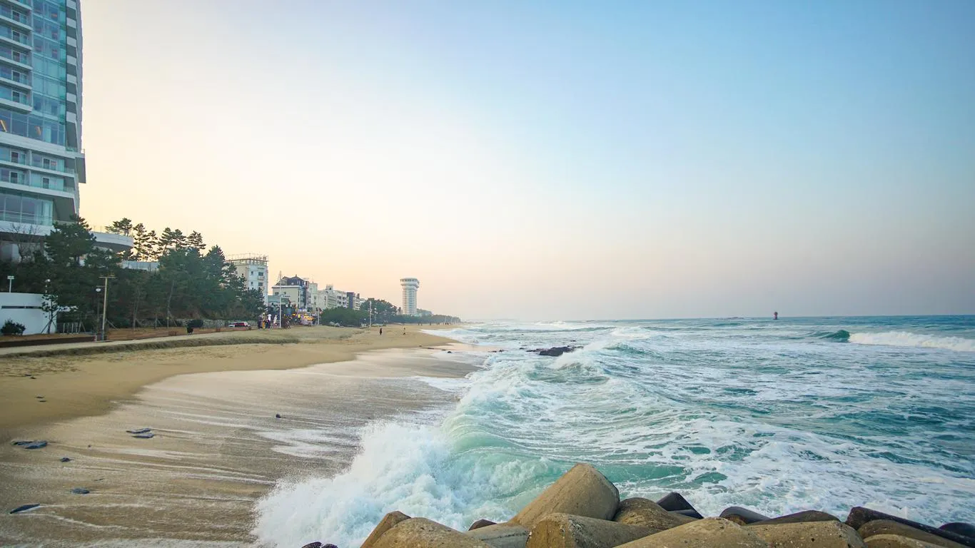 강원도 경포대 해수욕장과 강릉 가볼만한곳 best5 여행 자료집_4