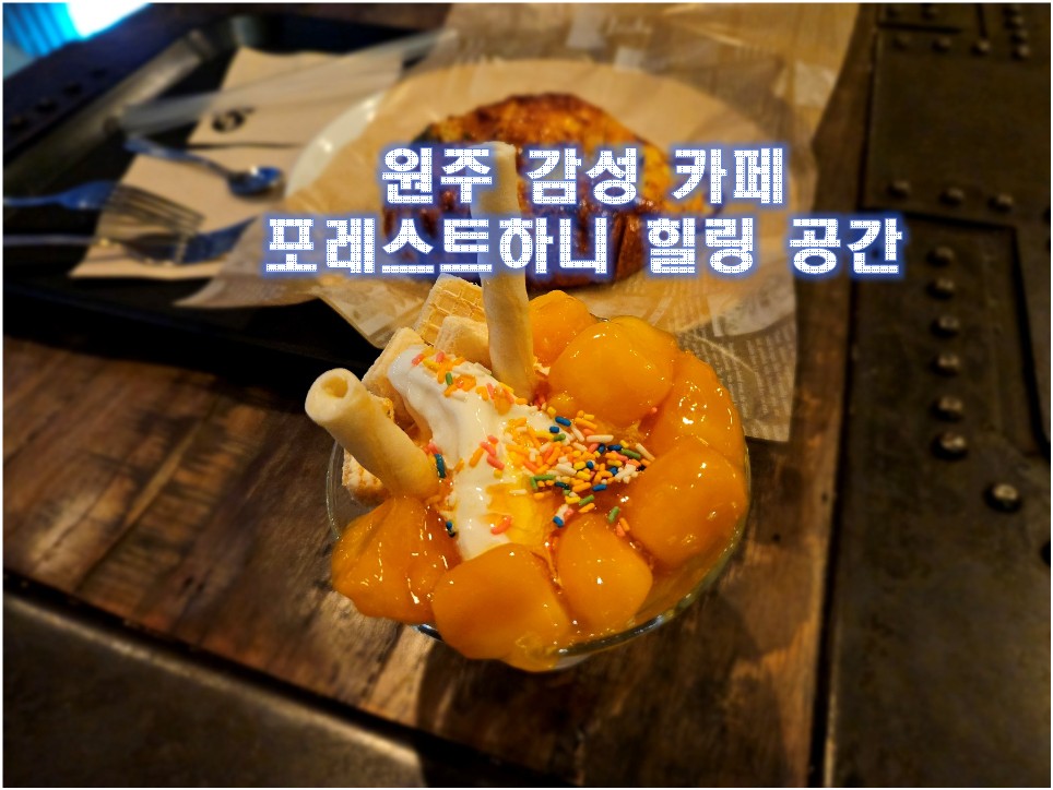 원주 감성 카페 포레스트하니 힐링 공간 사진