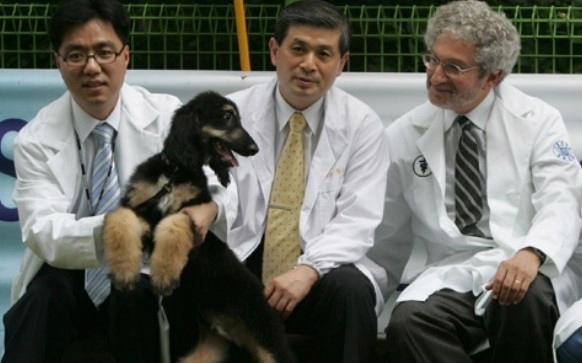 황우석 현재 근황 만수르와 일하다