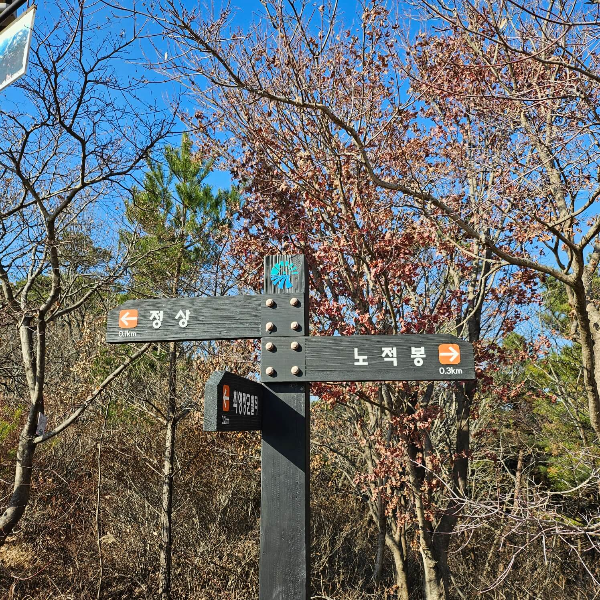 용봉산정상과-노적봉이정표