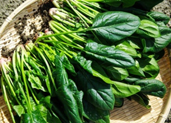 글루타치온 많이 든 음식, 영양제 종류 추천