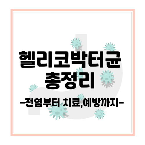 🦠 헬리코박터균, 그냥 두면 안 되는 이유