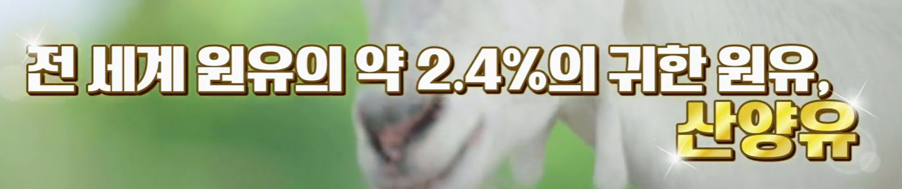 산양유 단백질