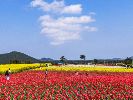 5월제주도 가볼만한곳