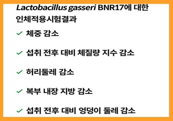 비엔알 17유산균, bnr17 유산균, 비앤날씬 유산균