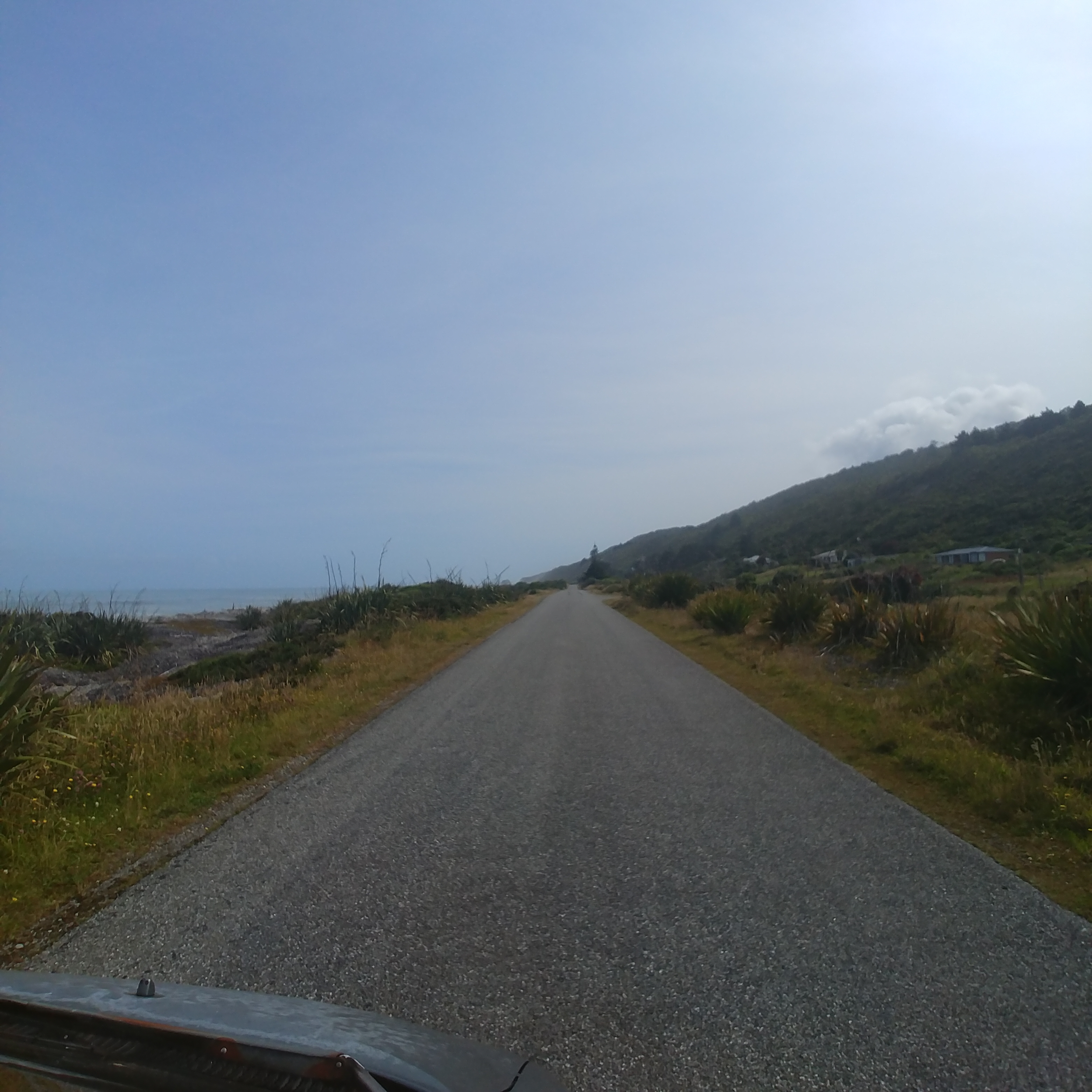 뉴질랜드 해안 산책로 Point Elizabeth Walkway