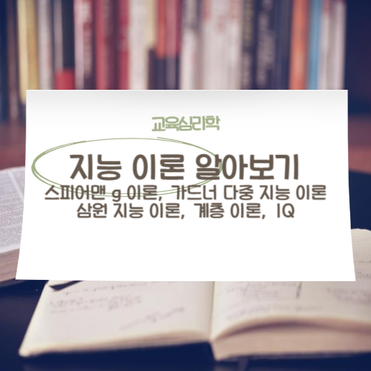 지능 이론