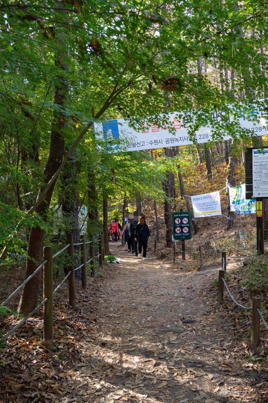 칠보산 올라가는길