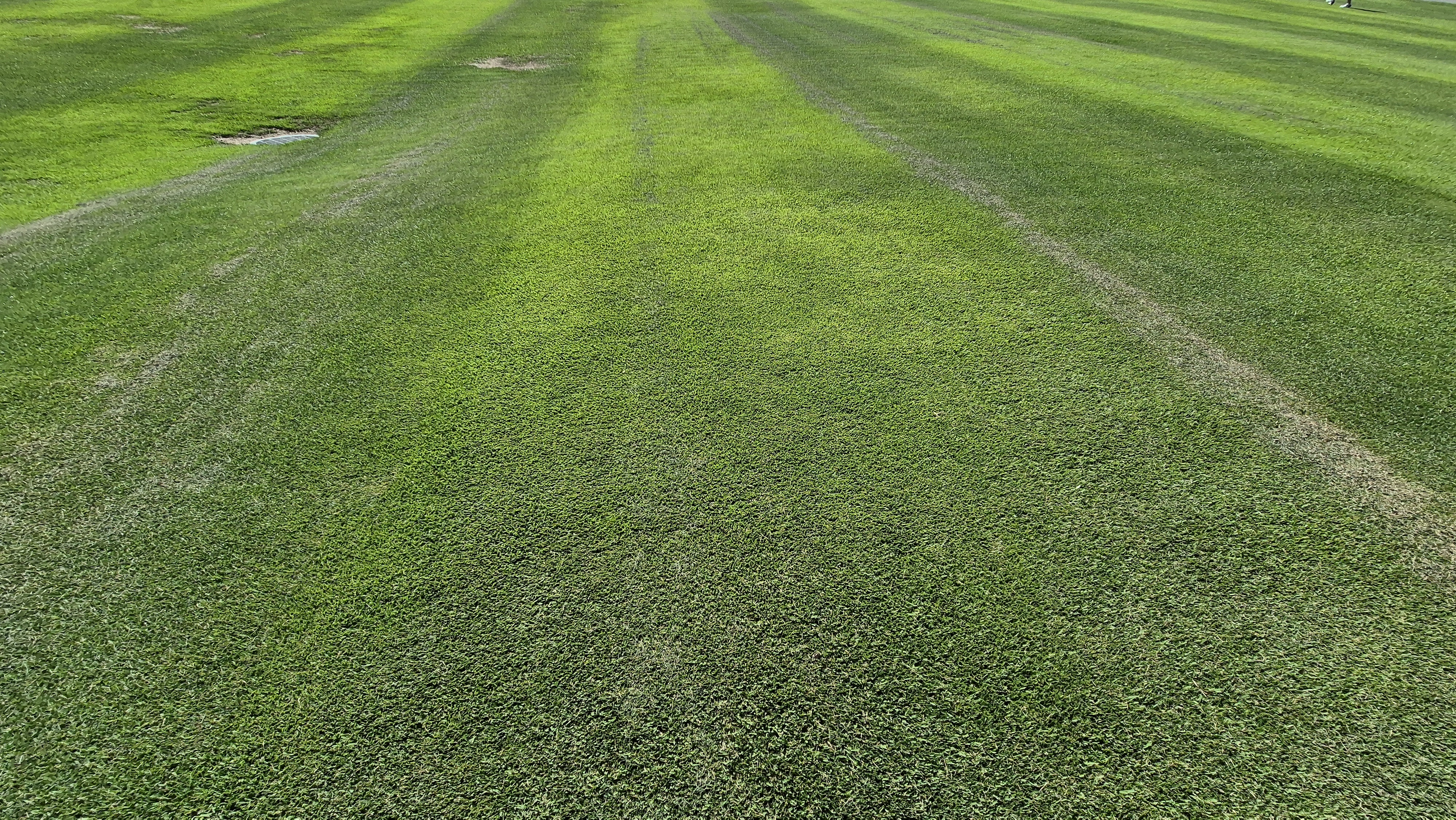 힐데스하임cc 밸리-레이크 코스 라운드 후기