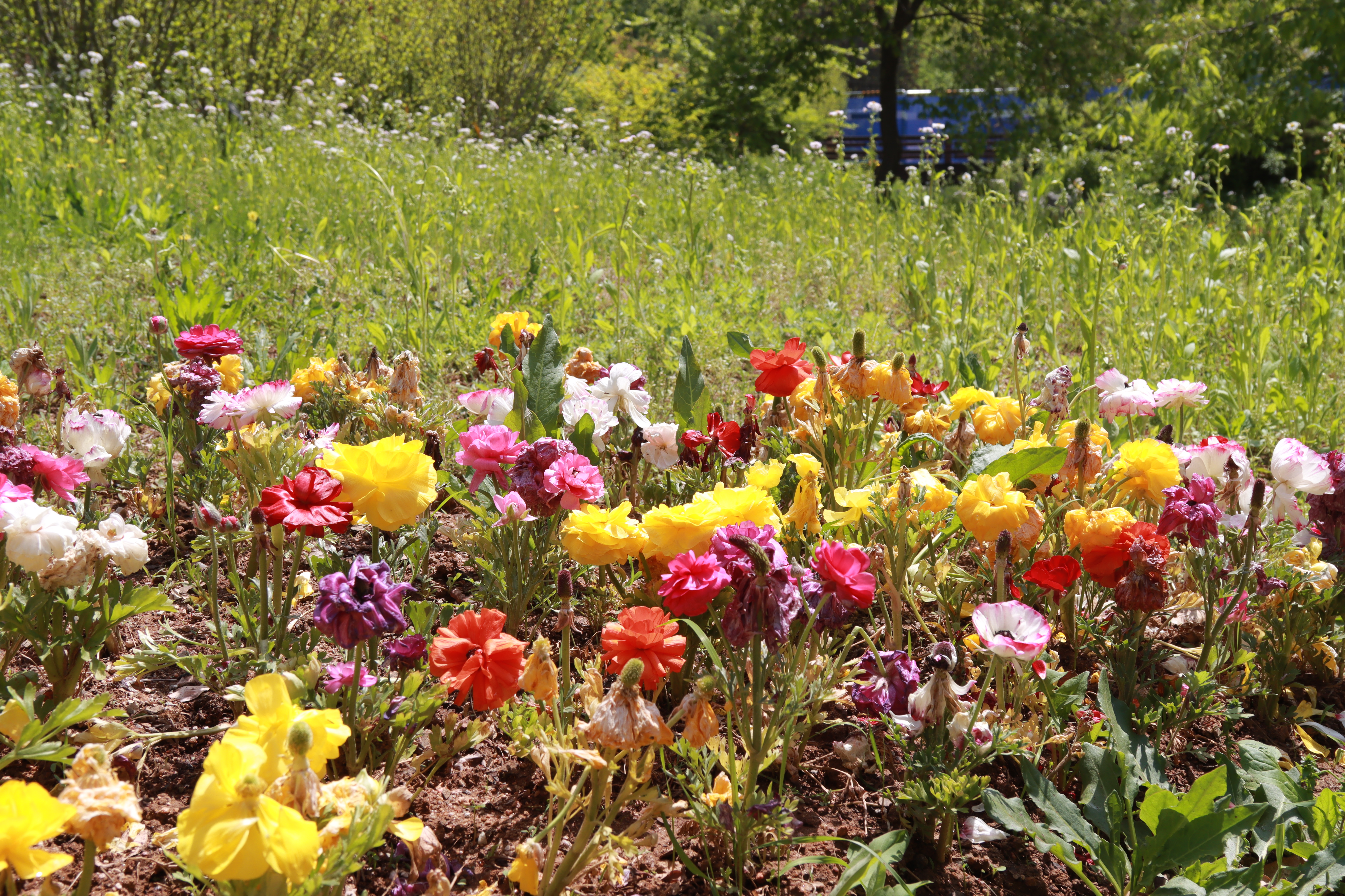부천자연생태공원