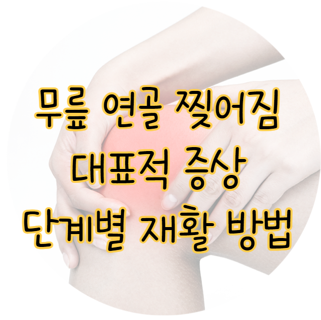 무릎 연골 찢어짐 증상 특징 단계별 재활 방법 표지