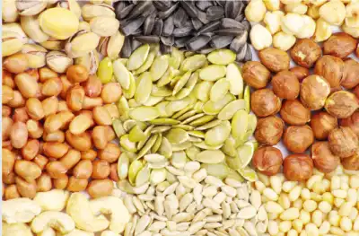 갱년기 증상 갱년기에 좋은 식품