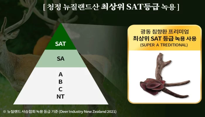 광동 침향환 프리미엄