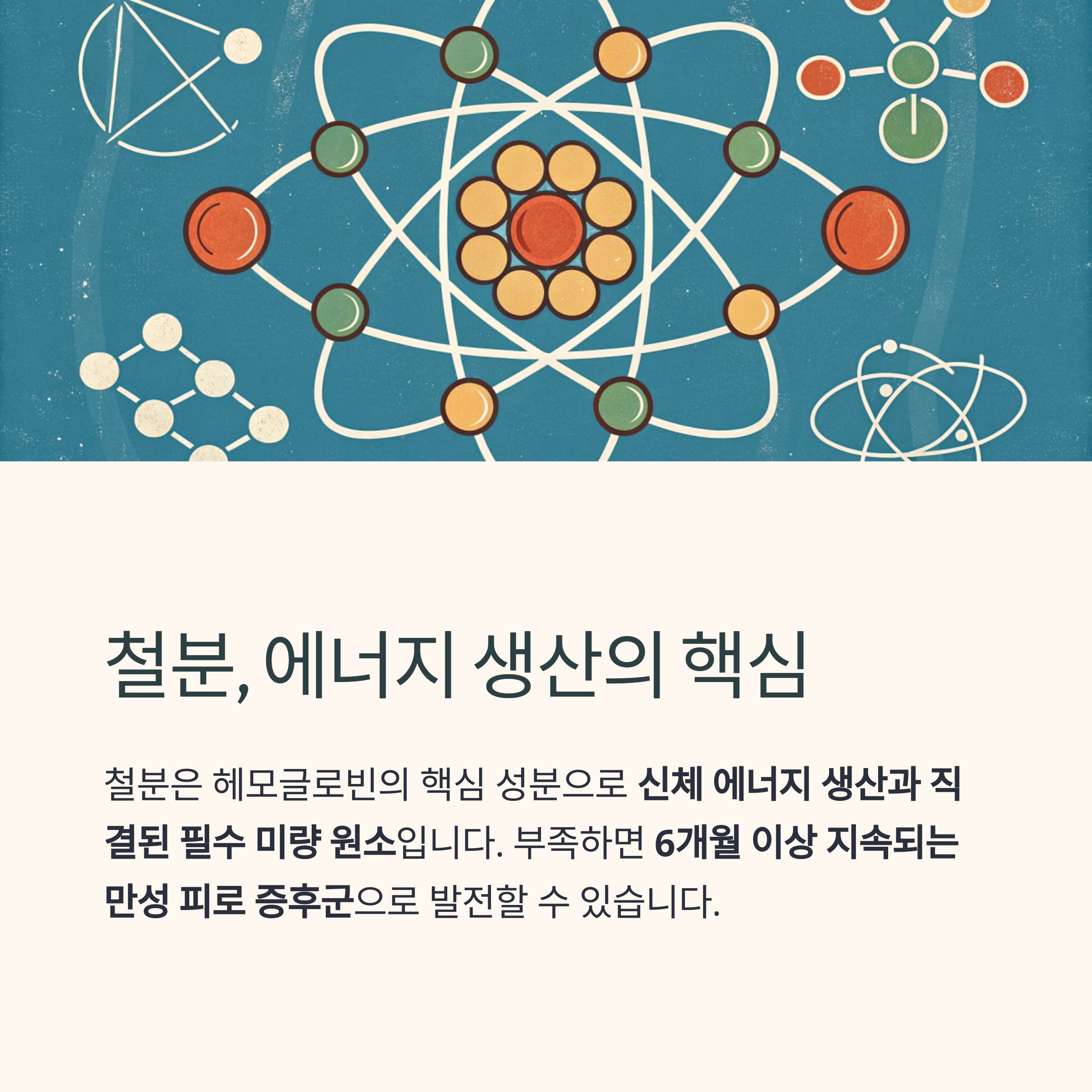 철분, 에너지 생산의 핵심