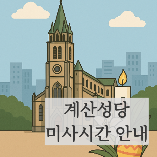 대구 계산성당 미사시간 주차안내