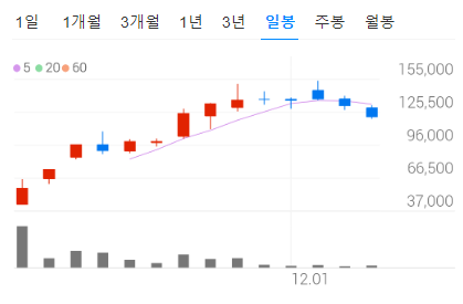 상장 후 단기간에 약 3.5배 상승