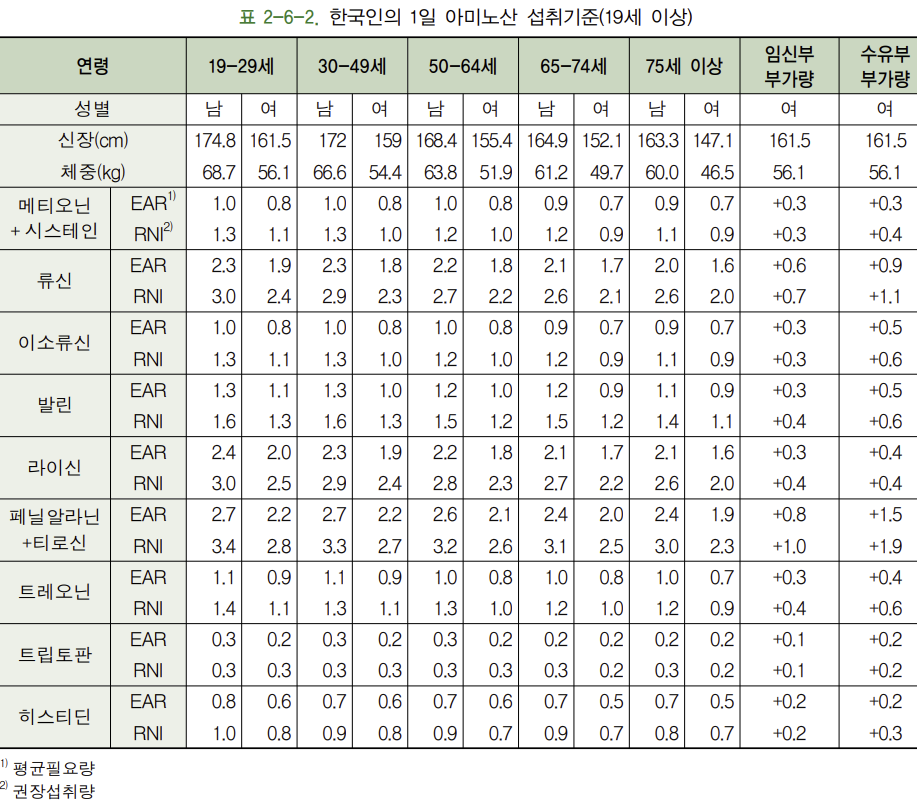 아미노산 일일 권장 섭취량