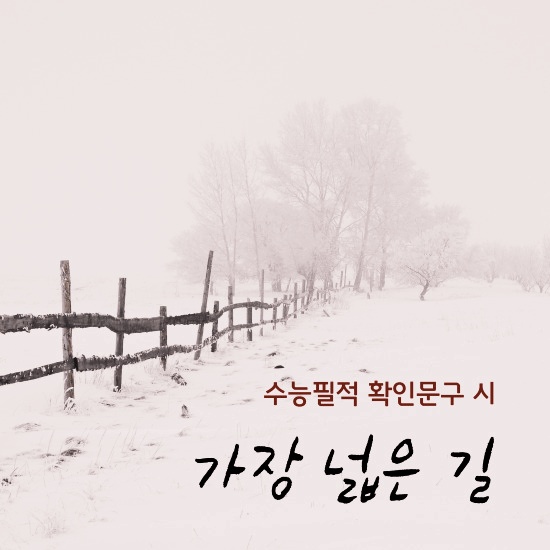 <가장 넓은 길> 섬네일 이미지